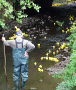 2nd May 2022 - Whittle's Annual Duck Race