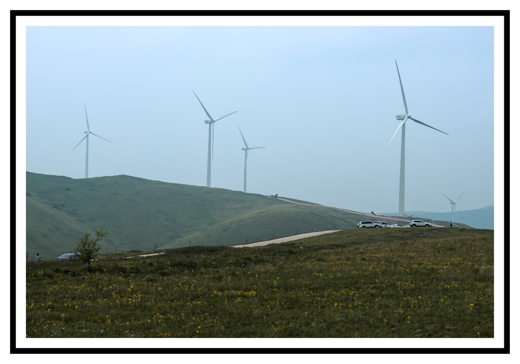 wind-farm by wh2021