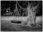 2nd May 2022 - Tire Swing