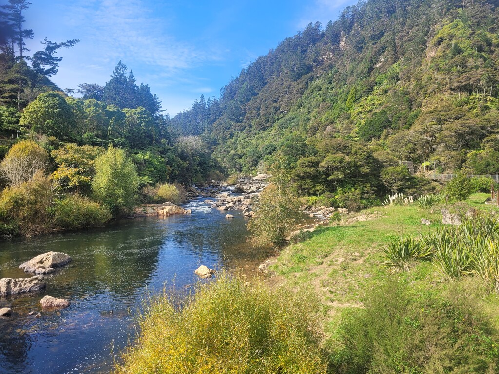 Karangahaki Gorge..  by julzmaioro