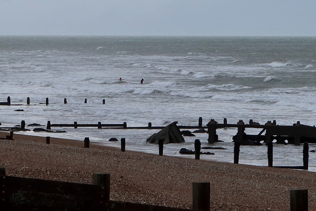 Cold Water Swimmers by davemockford