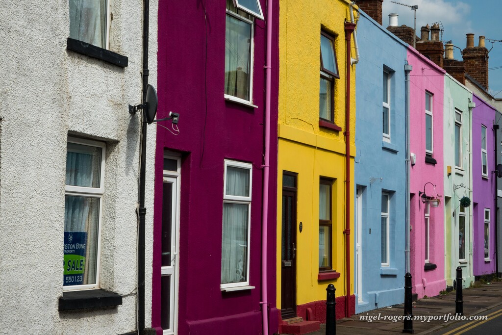 Colourful Terrace by nigelrogers