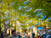 3rd May 2022 - The soap bubble