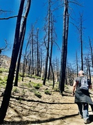 3rd May 2022 - Fire hike