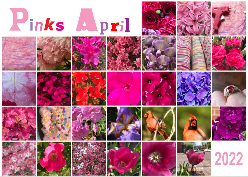 Pink April 2022 by homeschoolmom