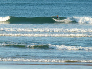 4th May 2022 - Catching the Wave