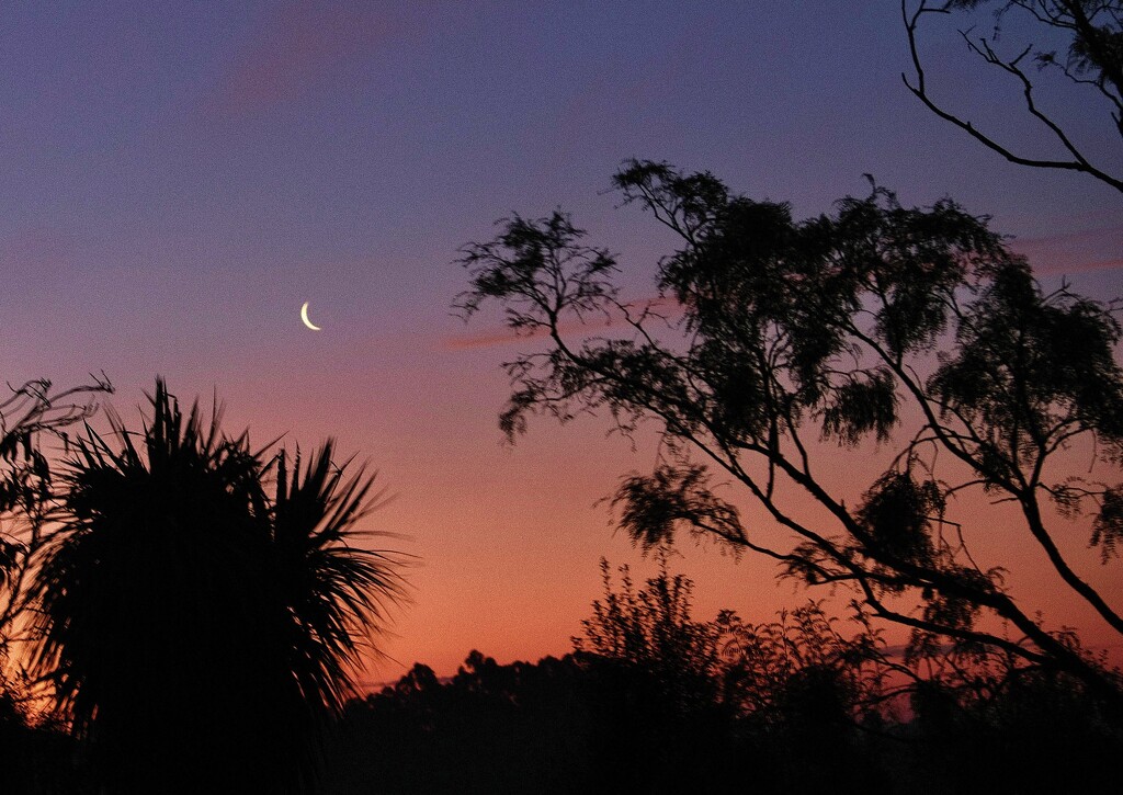 A sliver of a moon.. by maggiemae