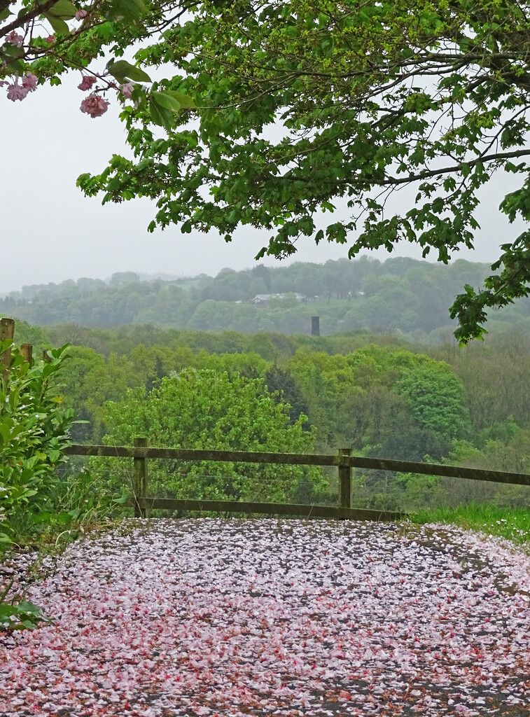 Spring's Confetti Path by marianj