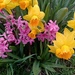 Springtime Colour by revken70