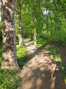4th May 2022 - There are some nice paths even in Prague :D