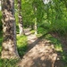 There are some nice paths even in Prague :D by solarpower