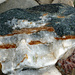 River rock by larrysphotos