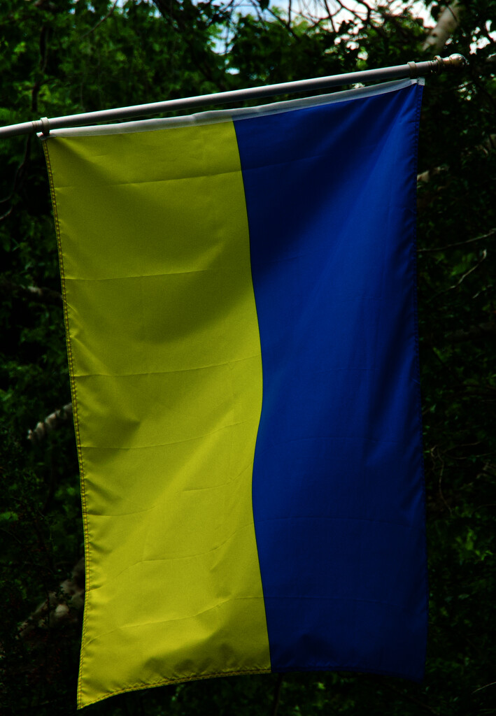 Supporting Ukraine by eudora