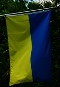 3rd May 2022 - Supporting Ukraine
