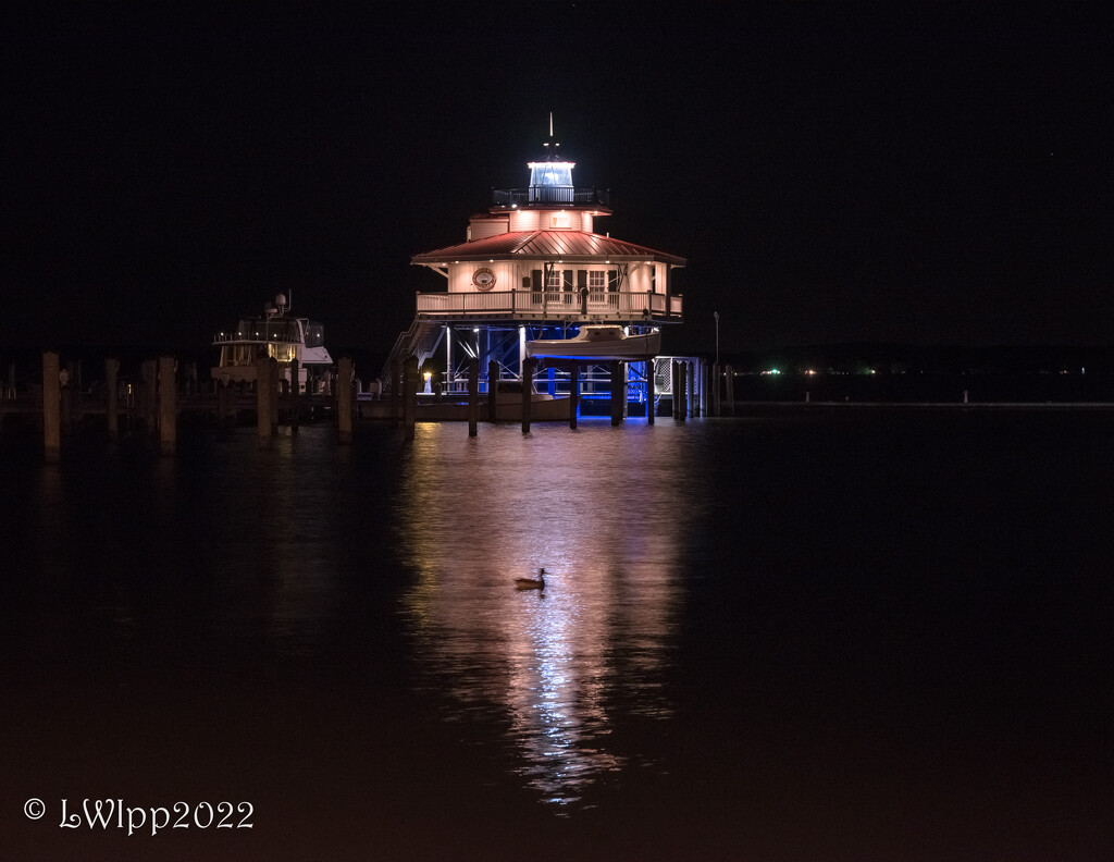 Lighthouses On The Chesapeake  by lesip