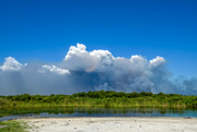 5th May 2022 - The Everglades Fires