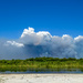 The Everglades Fires by danette