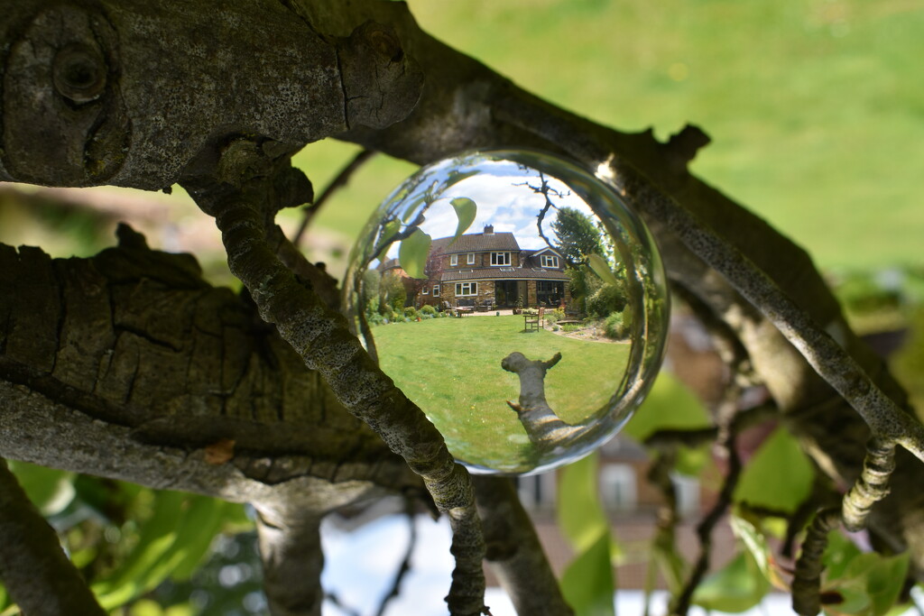 Our house seen through an orb... by anitaw
