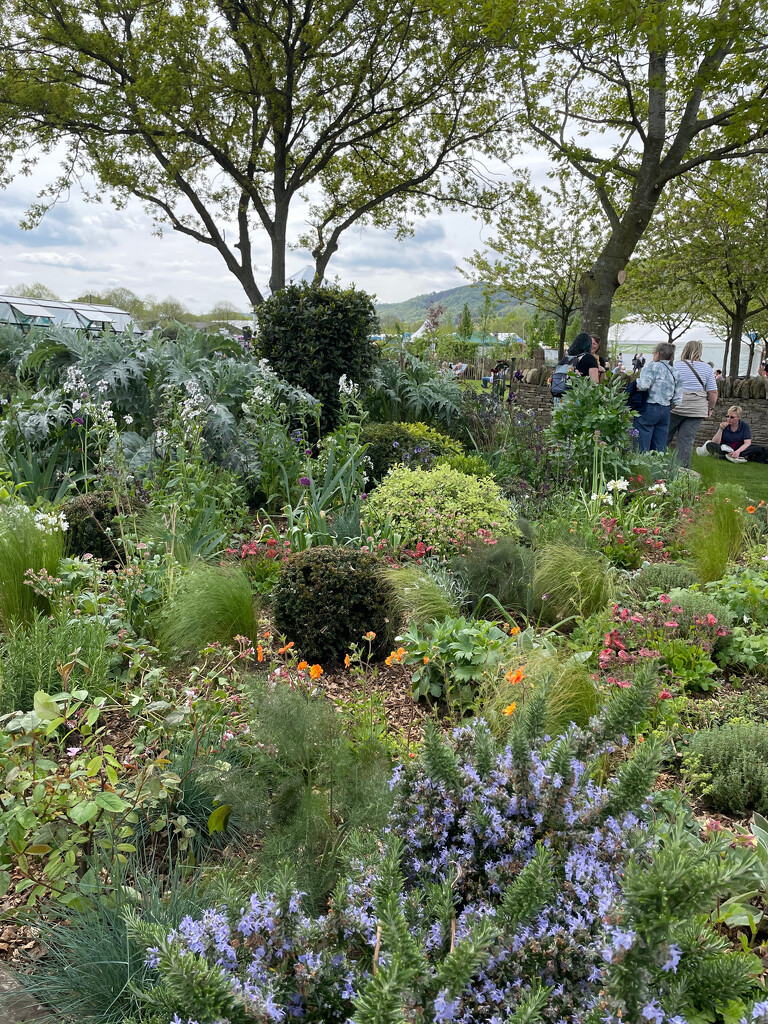 RHS Malvern Flower Show by 365projectmaxine