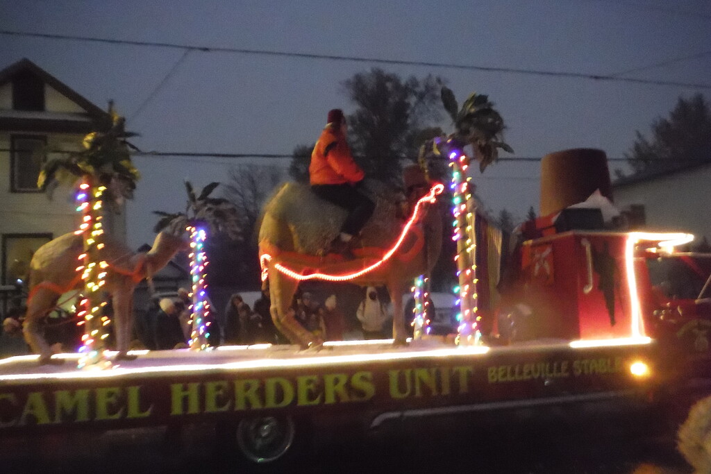 Rider #6: On a Camel, On a Float by spanishliz