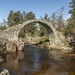 Packhorse Bridge by shepherdmanswife