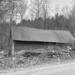Old shack by joansmor