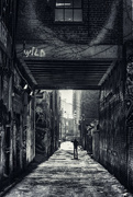5th May 2022 - Graffiti Alley