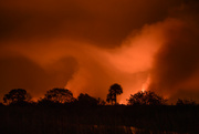 6th May 2022 - Everglades Fire at Night