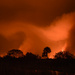 Everglades Fire at Night by danette