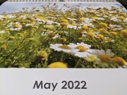 6th May 2022 - May 6th