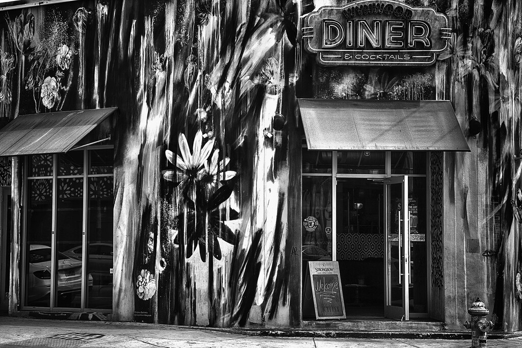Wynwood Diner  by pdulis