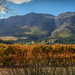Autumn in the vineyards by ludwigsdiana