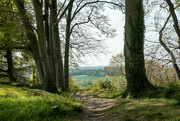 6th May 2022 - Wiltshire views....