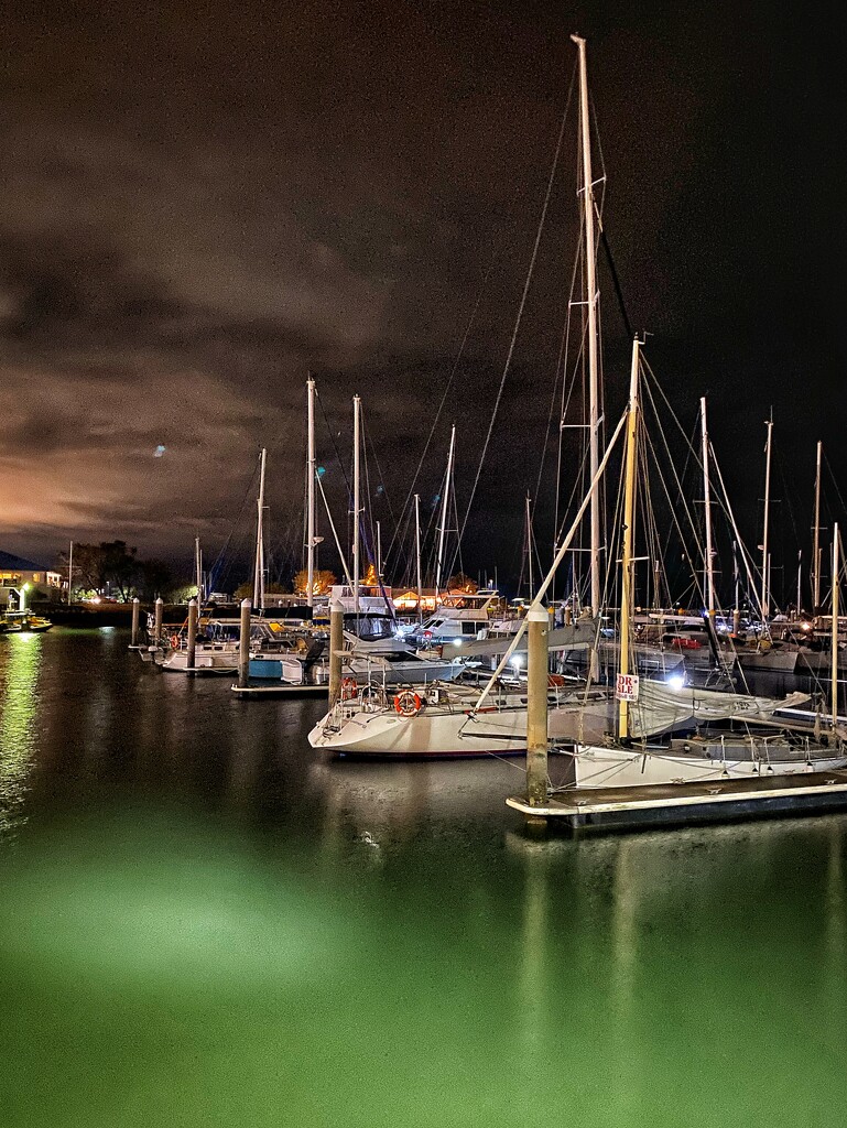 Harbour nights by corymbia