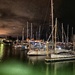 Harbour nights by corymbia