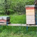 Training hives by mattjcuk