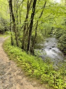7th May 2022 - Noland Creek Trail
