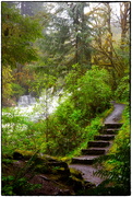 7th May 2022 - Alsea Steps