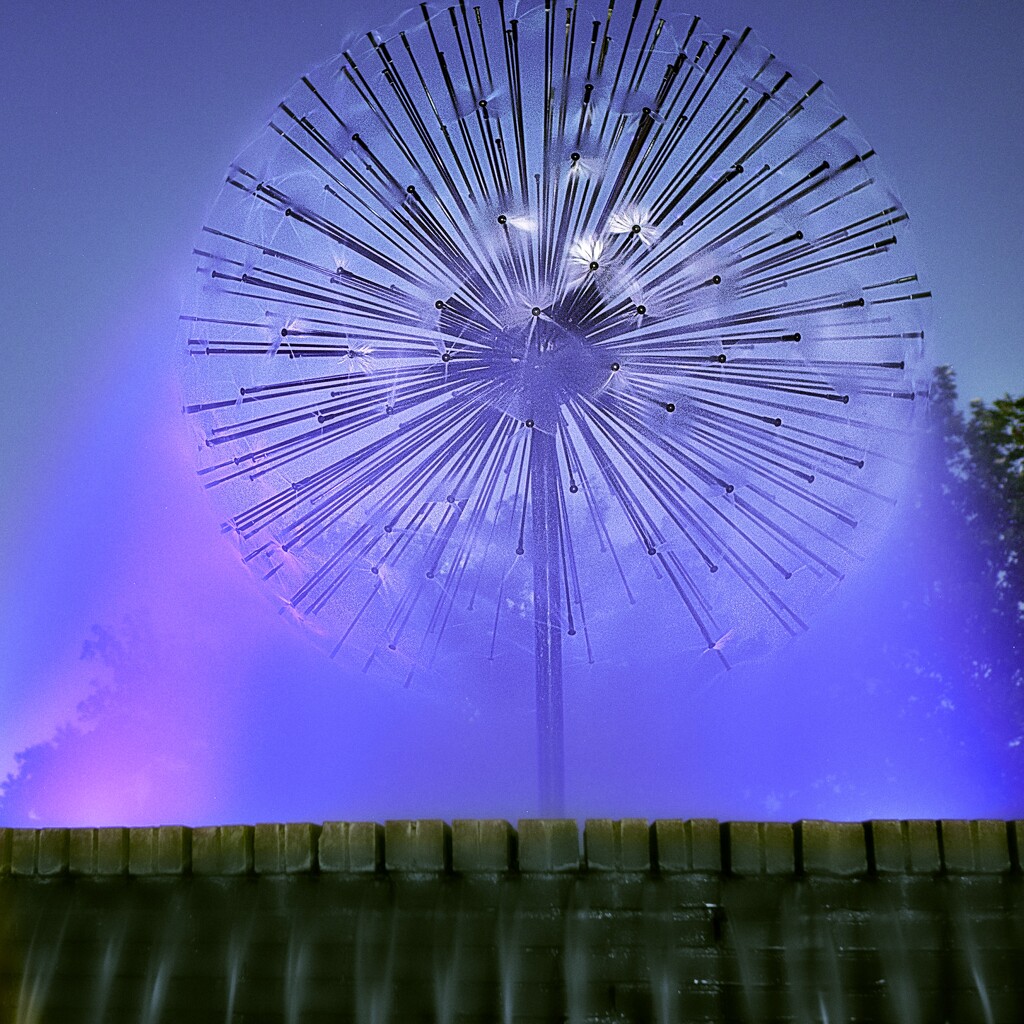 Dandelion Fountain by rayc