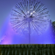 7th May 2022 - Dandelion Fountain
