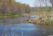 8th May 2022 - Bend in the skunk river
