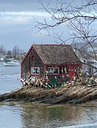 25th Apr 2022 - Lobster Shack, Harpswell Maine