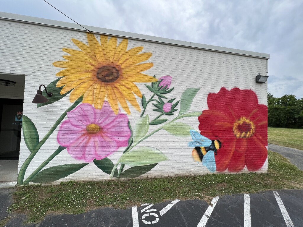 Mural celebrates gardening by congaree