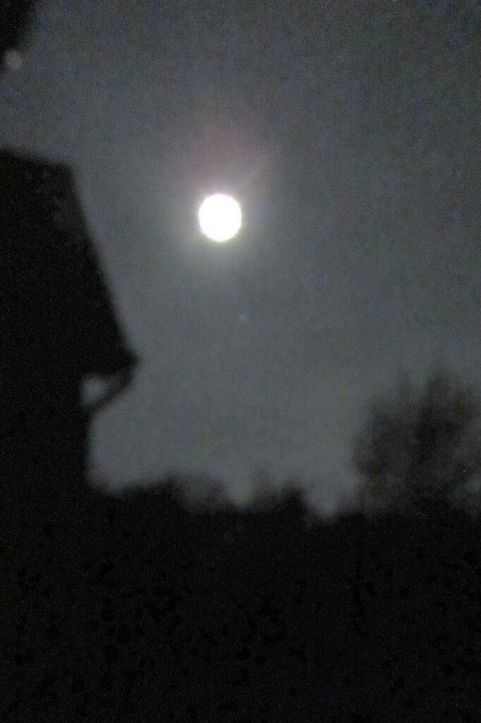 Full Moon by lellie