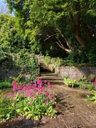 8th May 2022 - Arbigland Gardens