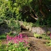 Arbigland Gardens by samcat