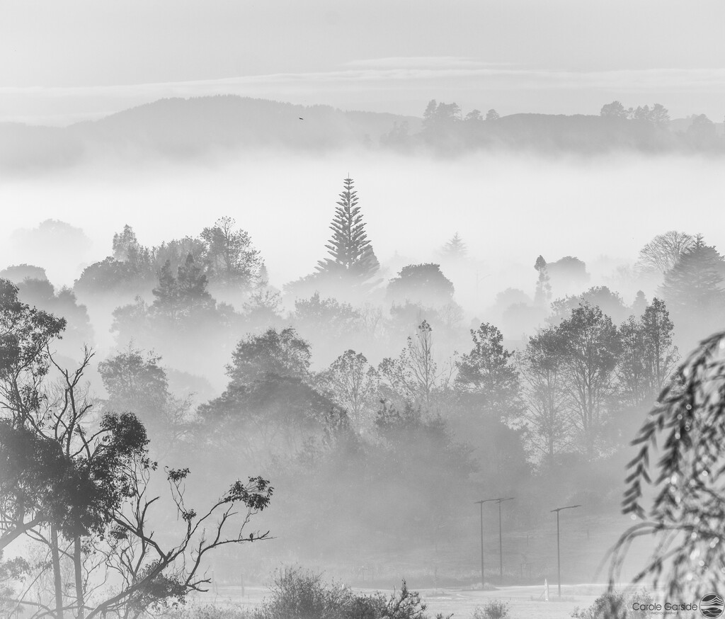 Misty Layers by yorkshirekiwi