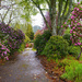 Path Into Hinsman Gardens 