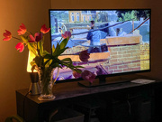 10th May 2022 - Tulips and TV