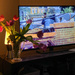 Tulips and TV by joansmor